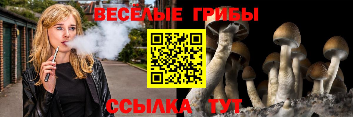 Псилоцибиновые грибы MAGIC MUSHROOMS Углич